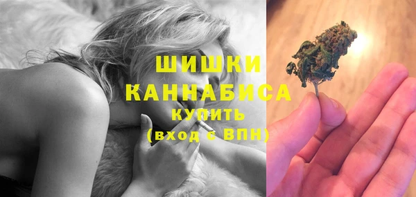 дурь Каменка