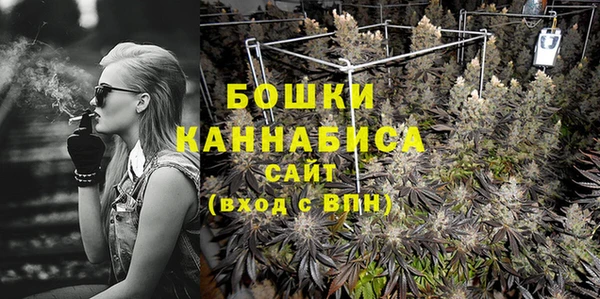 дурь Каменка