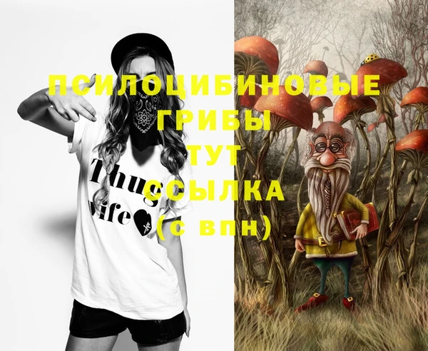 каннабис Каменногорск
