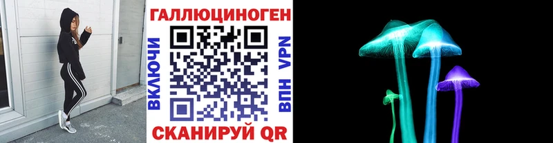 Купить закладки  Ясный  Псилоцибиновые грибы мицелий 